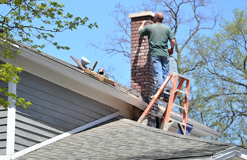 Chimney & Fireplace Inspections Services in San Jacinto, CA